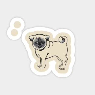Big Fawn Pug Sticker